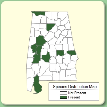 Species Distribution Map