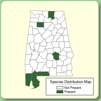 Species Distribution Map