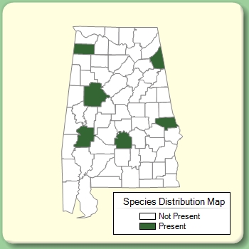 Species Distribution Map