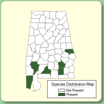 Species Distribution Map