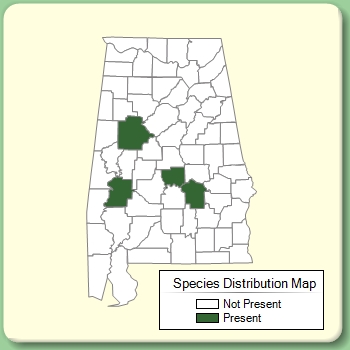 Species Distribution Map