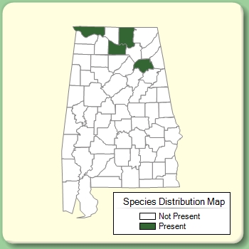 Species Distribution Map