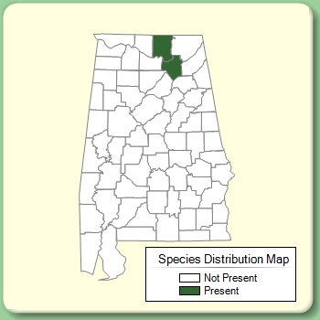 Species Distribution Map