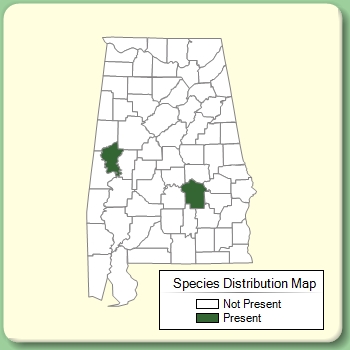 Species Distribution Map