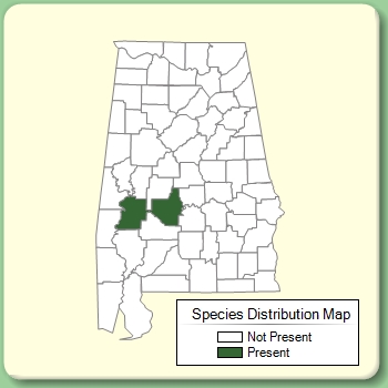 Species Distribution Map