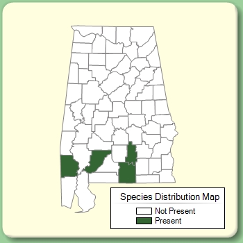 Species Distribution Map