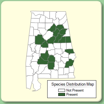 Species Distribution Map