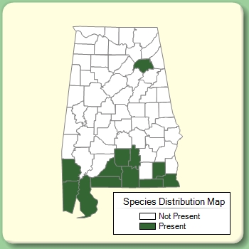 Species Distribution Map