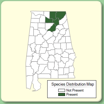 Species Distribution Map