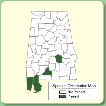 Species Distribution Map