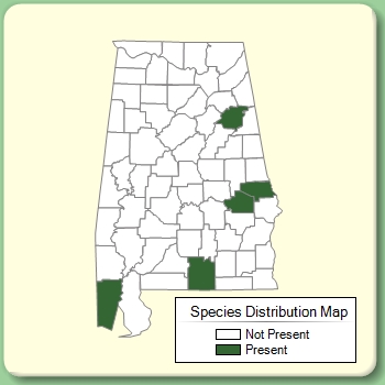 Species Distribution Map