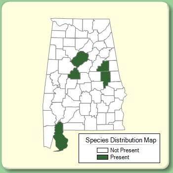 Species Distribution Map