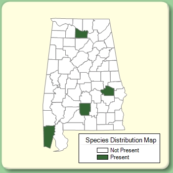 Species Distribution Map