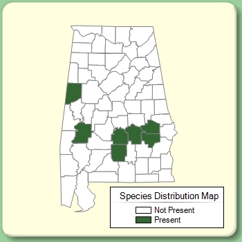 Species Distribution Map