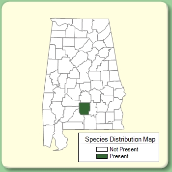 Species Distribution Map