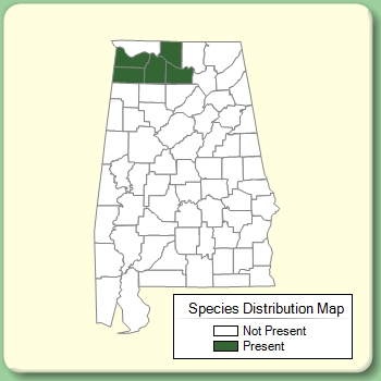 Species Distribution Map