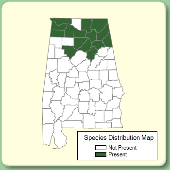 Species Distribution Map