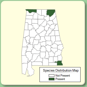 Species Distribution Map