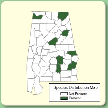 Species Distribution Map