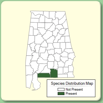 Species Distribution Map