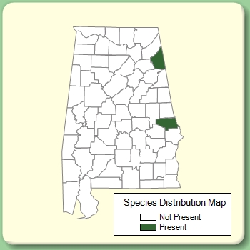 Species Distribution Map