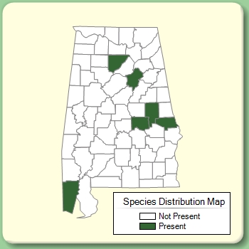 Species Distribution Map