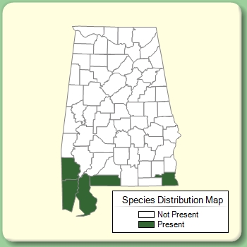 Species Distribution Map