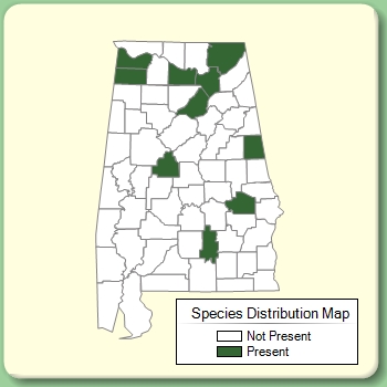 Species Distribution Map