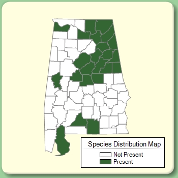 Species Distribution Map