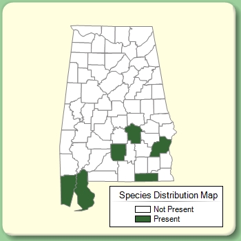 Species Distribution Map