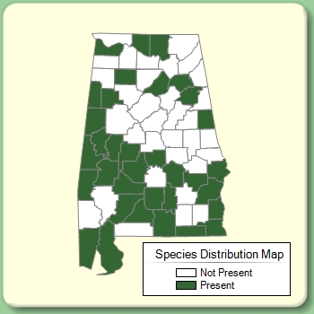 Species Distribution Map