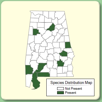 Species Distribution Map