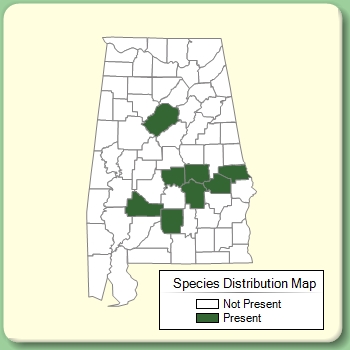 Species Distribution Map