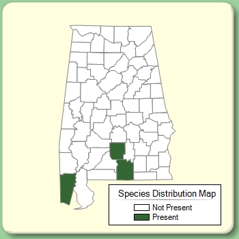 Species Distribution Map