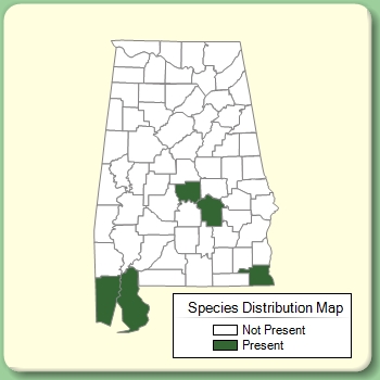 Species Distribution Map