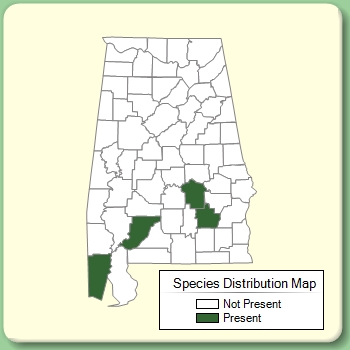 Species Distribution Map