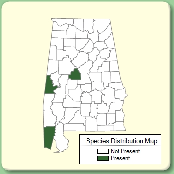 Species Distribution Map