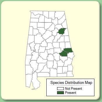 Species Distribution Map