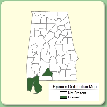 Species Distribution Map