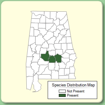 Species Distribution Map