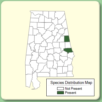 Species Distribution Map