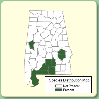 Species Distribution Map