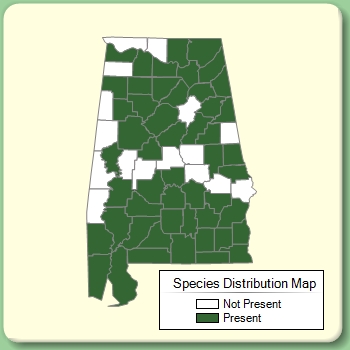 Species Distribution Map