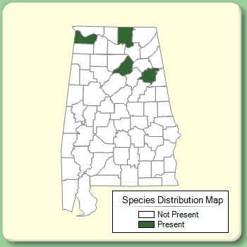 Species Distribution Map