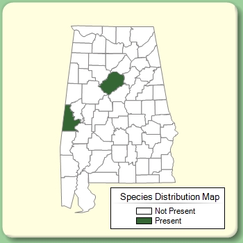 Species Distribution Map