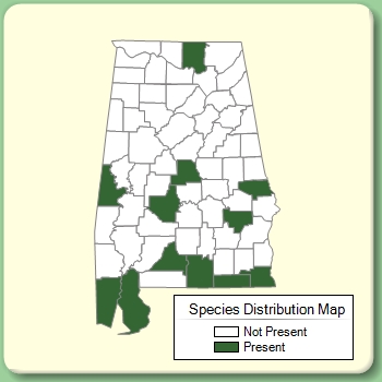 Species Distribution Map