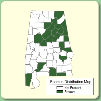 Species Distribution Map