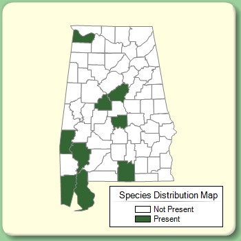 Species Distribution Map