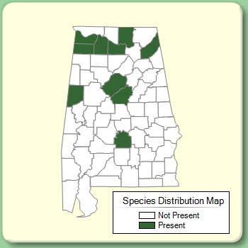 Species Distribution Map