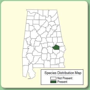 Species Distribution Map